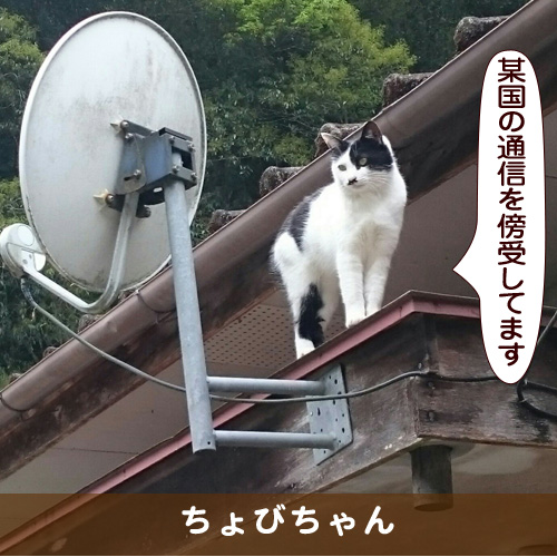 20170813_touko.jpg