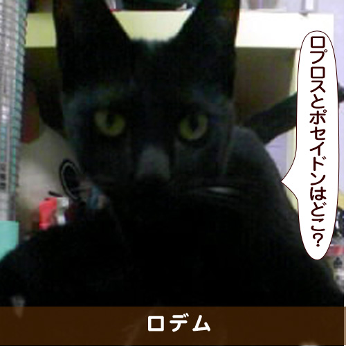 20170814_touko.jpg