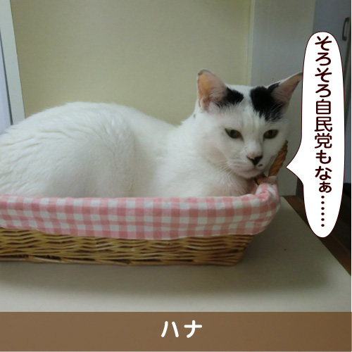 20170815_touko.jpg