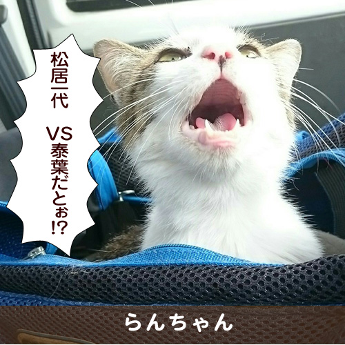20170816_touko.jpg