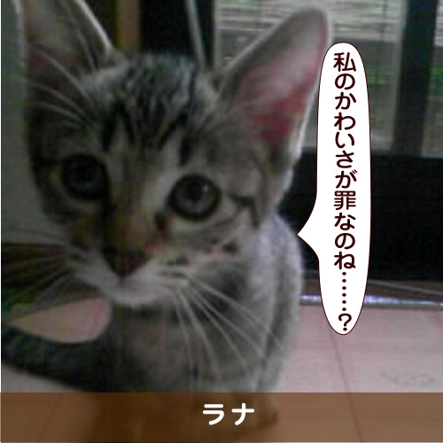 20170818_touko.jpg