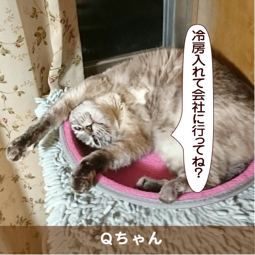 20170819_touko.jpg