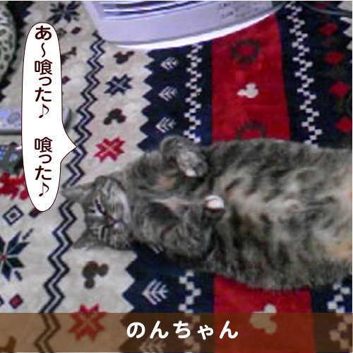 20170820_touko.jpg