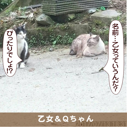 20170827_touko.jpg