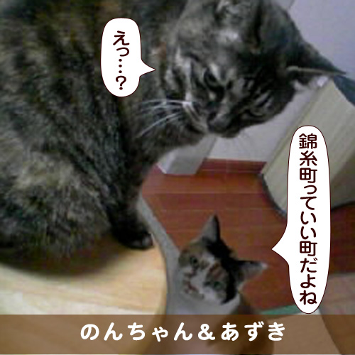 20170829_touko.jpg