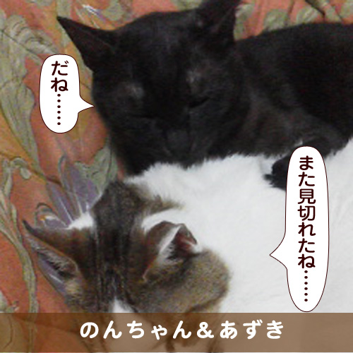 20170830_touko.jpg