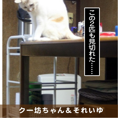 20170831_touko.jpg