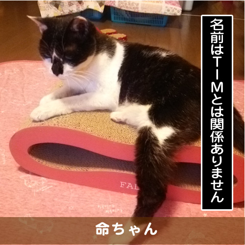 20170901_touko.jpg