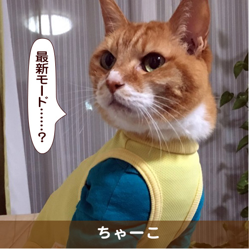 20170902_touko.jpg