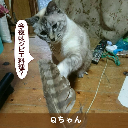 20170903_touko.jpg