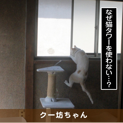 20170906_touko.jpg