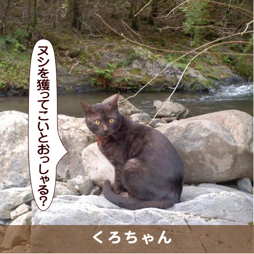 20170907_touko.jpg