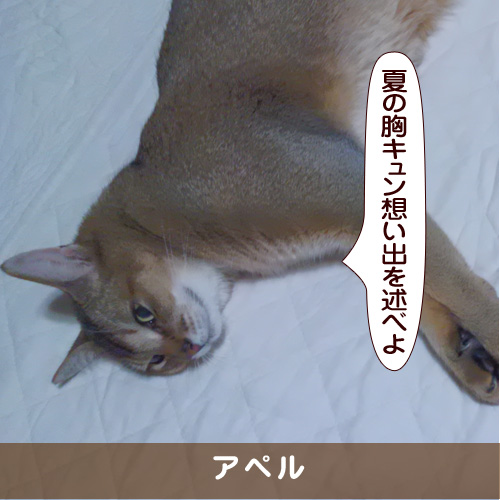 20170908_touko.jpg