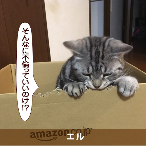 20170909_touko.jpg