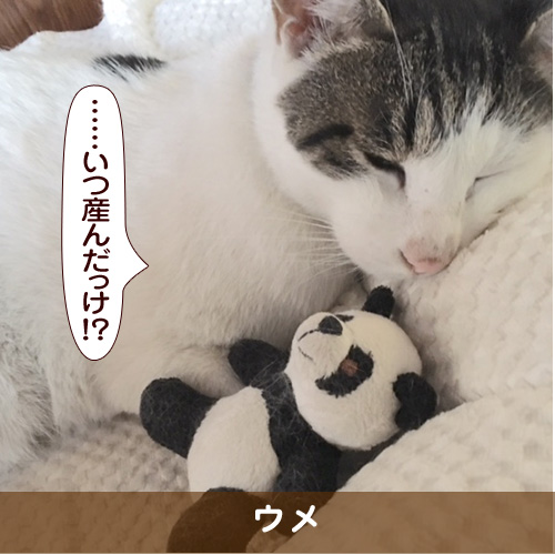 20170910_touko.jpg