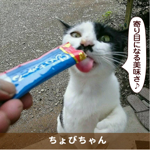 20170911_touko.jpg