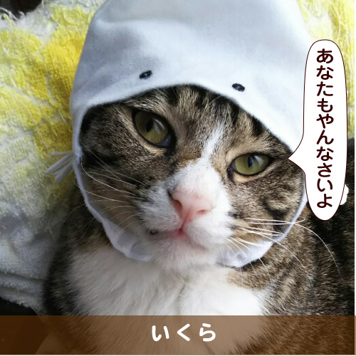 20170912_touko.jpg