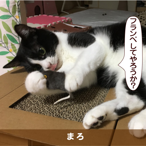 20170913_touko.jpg
