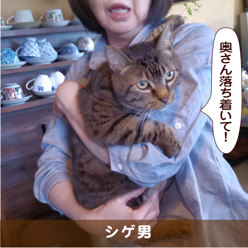 20170914_touko.jpg