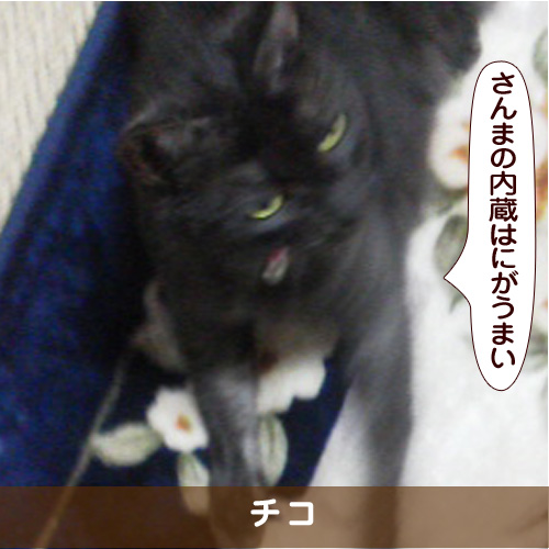 20170915_touko.jpg