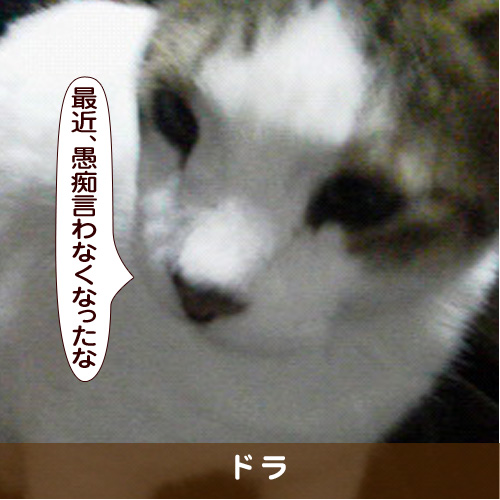 20170916_touko.jpg