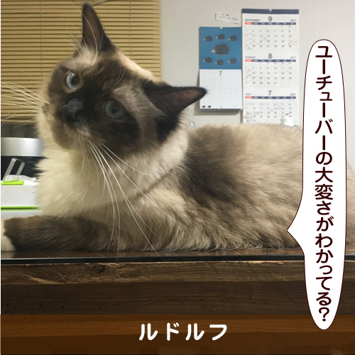 20170918_touko.jpg
