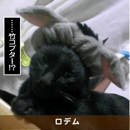 20170920_touko.jpg
