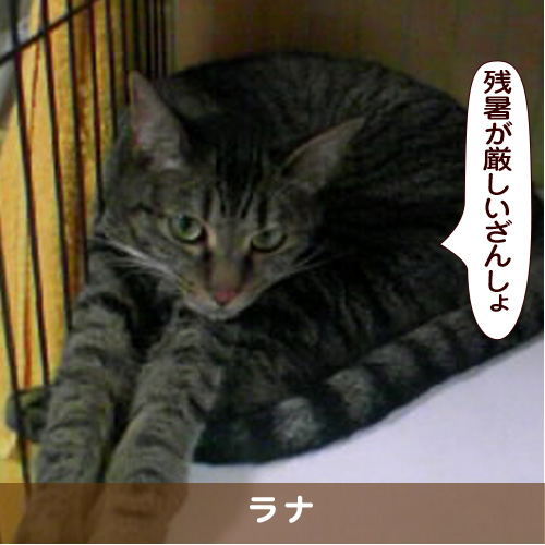 20170921_touko.jpg