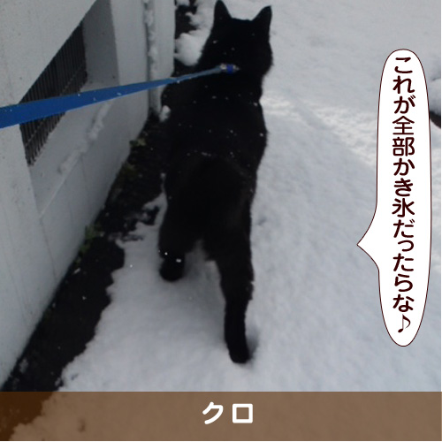 20170924_touko.jpg