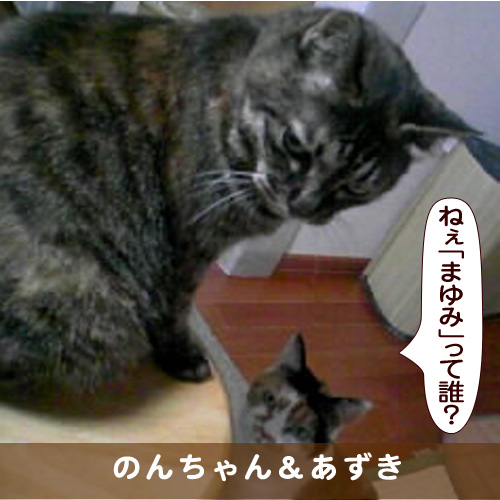 20170925_touko.jpg