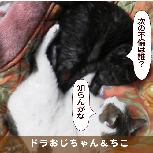 20170927_touko.jpg
