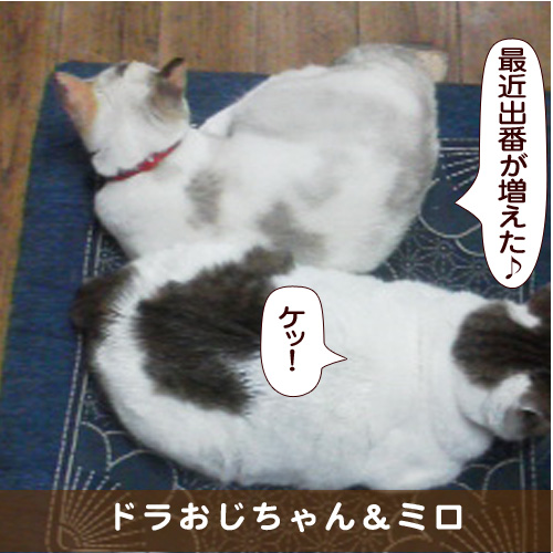 20170928_touko.jpg