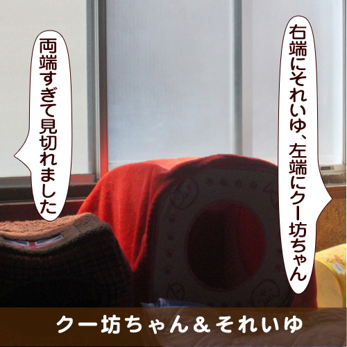 20170930_touko.jpg