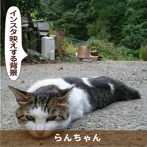 20171001_touko.jpg