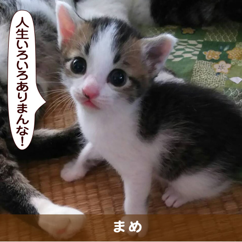 20171002_touko.jpg