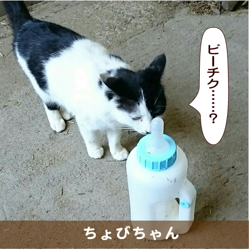 20171003_touko.jpg
