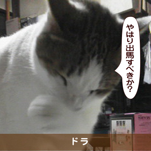 20171006_touko.jpg