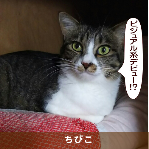 20171008_touko.jpg