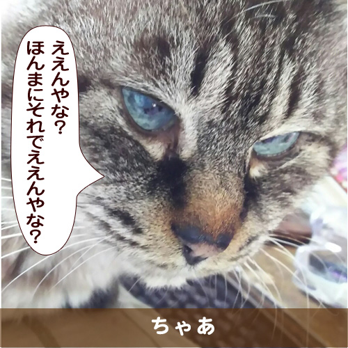 20171009_touko.jpg
