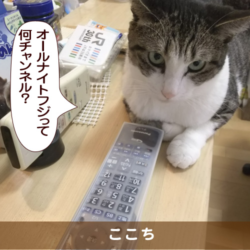 20171010_touko.jpg