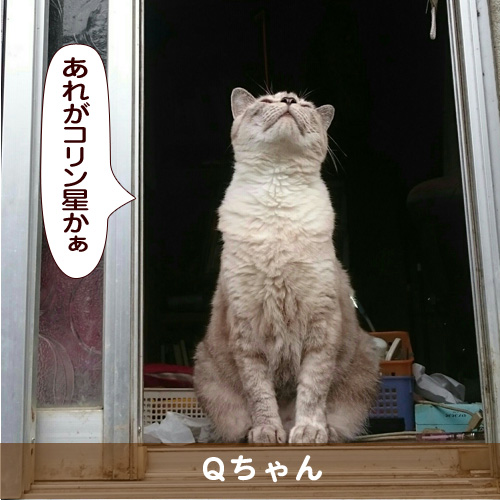 20171013_touko.jpg