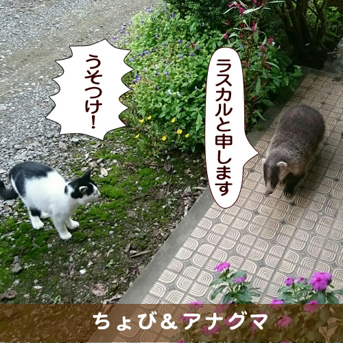 20171020_touko.jpg