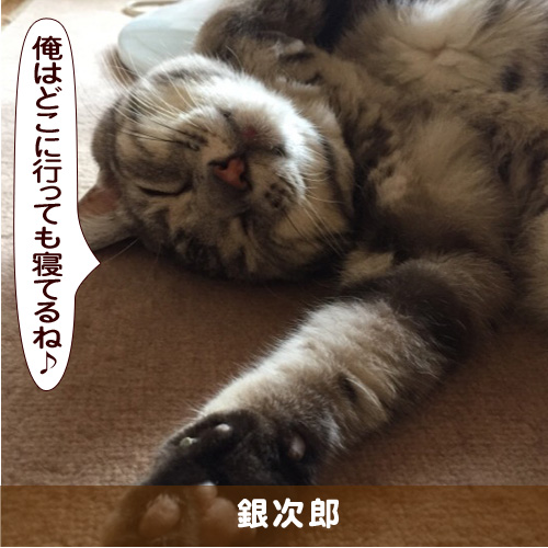 20171021_touko.jpg