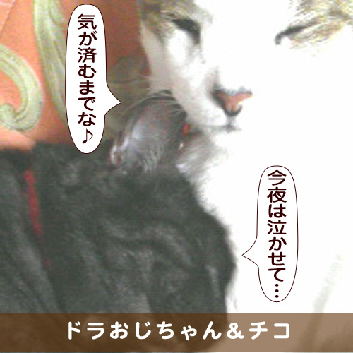 20171023_touko.jpg