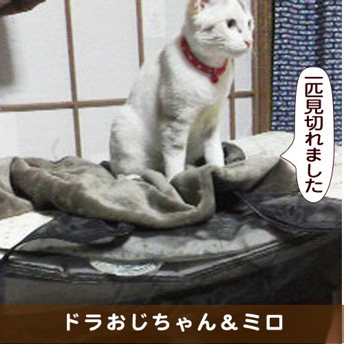 20171026_touko.jpg