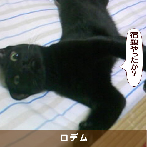 20171027_touko.jpg
