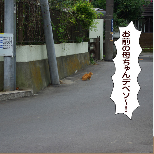 20171028_touko.jpg