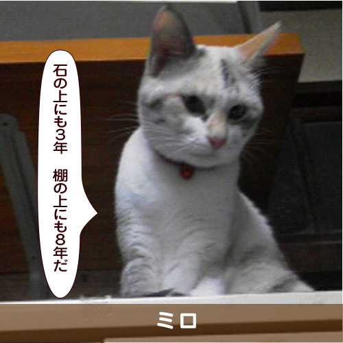 20171217_touko.jpg