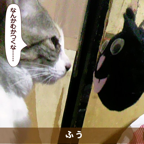 20171218_touko.jpg