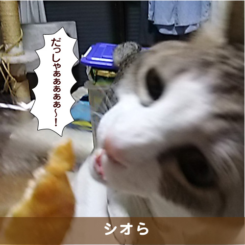 20171219_touko.jpg